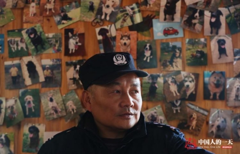 Decent old age of service dogs: a Chinese dog handler has opened a shelter for retired dogs