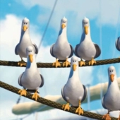 Después de 17 años, el hotel perdonó al huésped en cuya habitación las voraces gaviotas organizaron un pogromo