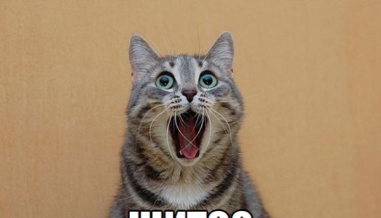 Devuélveme mi 2008: ¿fue realmente hace 10 años? Devuélveme mi 2008: ¿fue realmente hace 10 años?