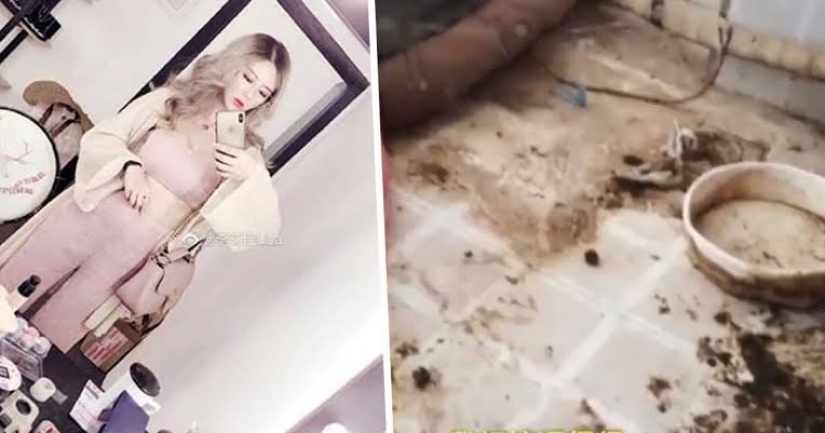 Dirty scandal: the angry landlady of the apartment showed the srach in which the glamorous blogger lives