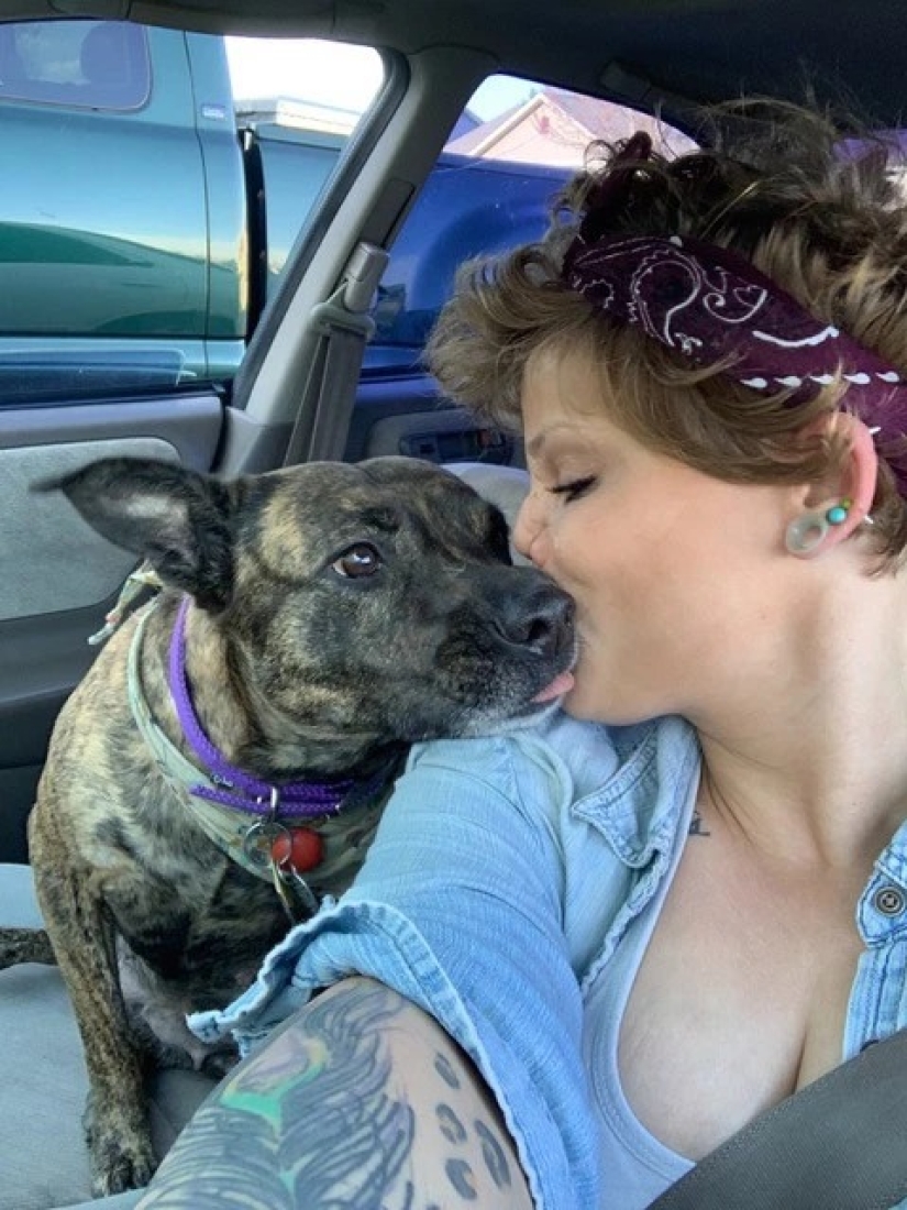 Disfigured love: a pit bull bit off a girl's nose, but she forgave him and continues to cuddle with dogs