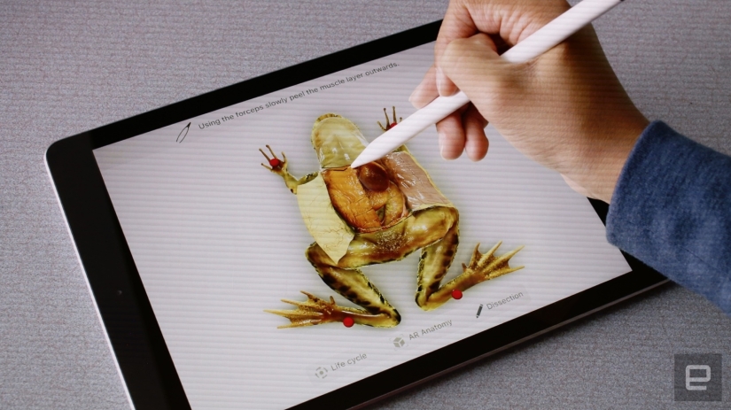 Dissect frogs and do homework in virtual reality: what the new iPad for schoolchildren can do