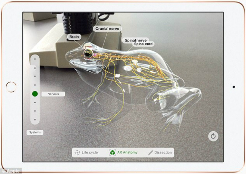Dissect frogs and do homework in virtual reality: what the new iPad for schoolchildren can do
