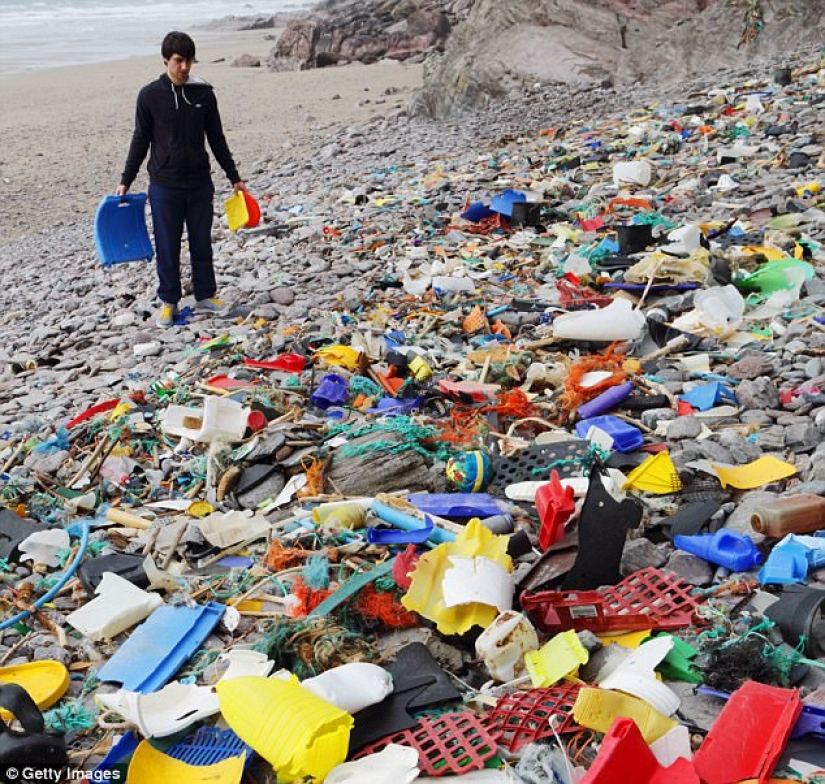 Do you like seafood? Then you regularly eat plastic