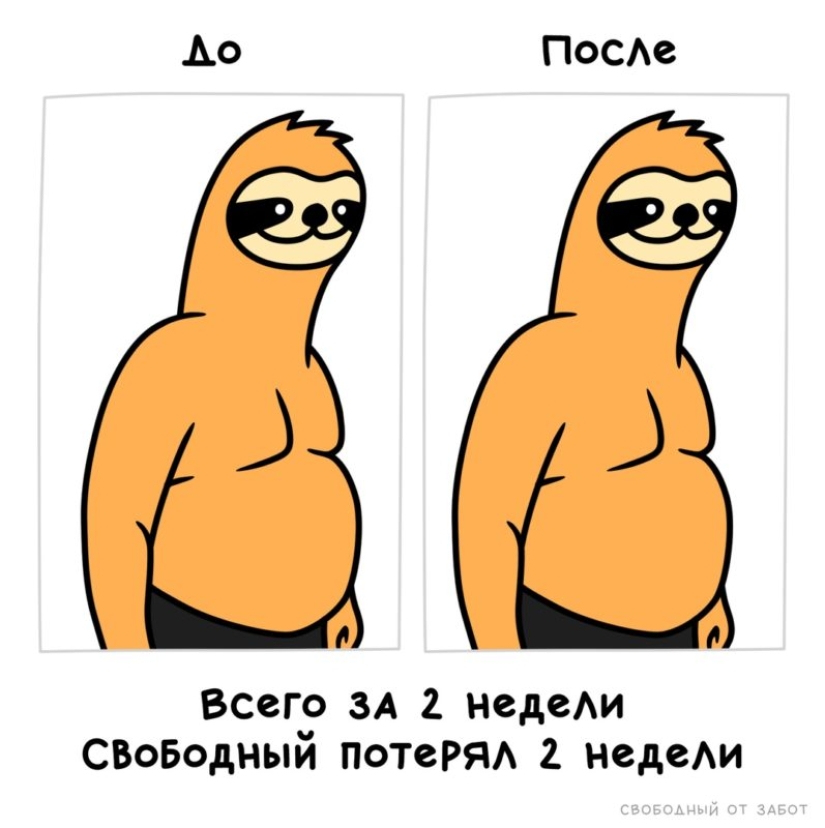 Do you recognize yourself? The author of the meme about the orange sloth continues to delight with his works about mother laziness