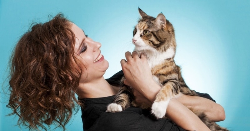 Does Your Cat Know Your Name Pictolic