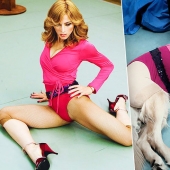 Dog Parodies Iconic Madonna Photos