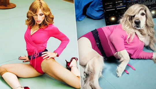 Dog Parodies Iconic Madonna Photos