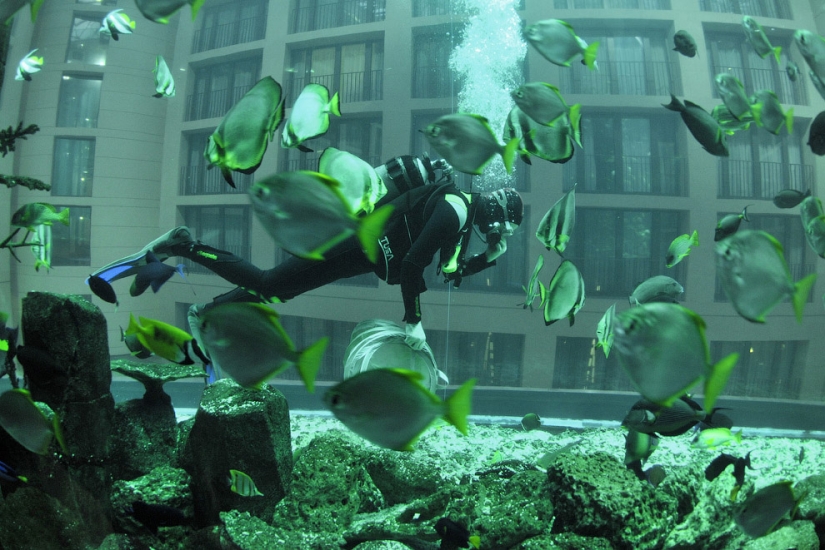 Dom Aquaree — a huge aquarium in Berlin's Radisson Blu Hotel