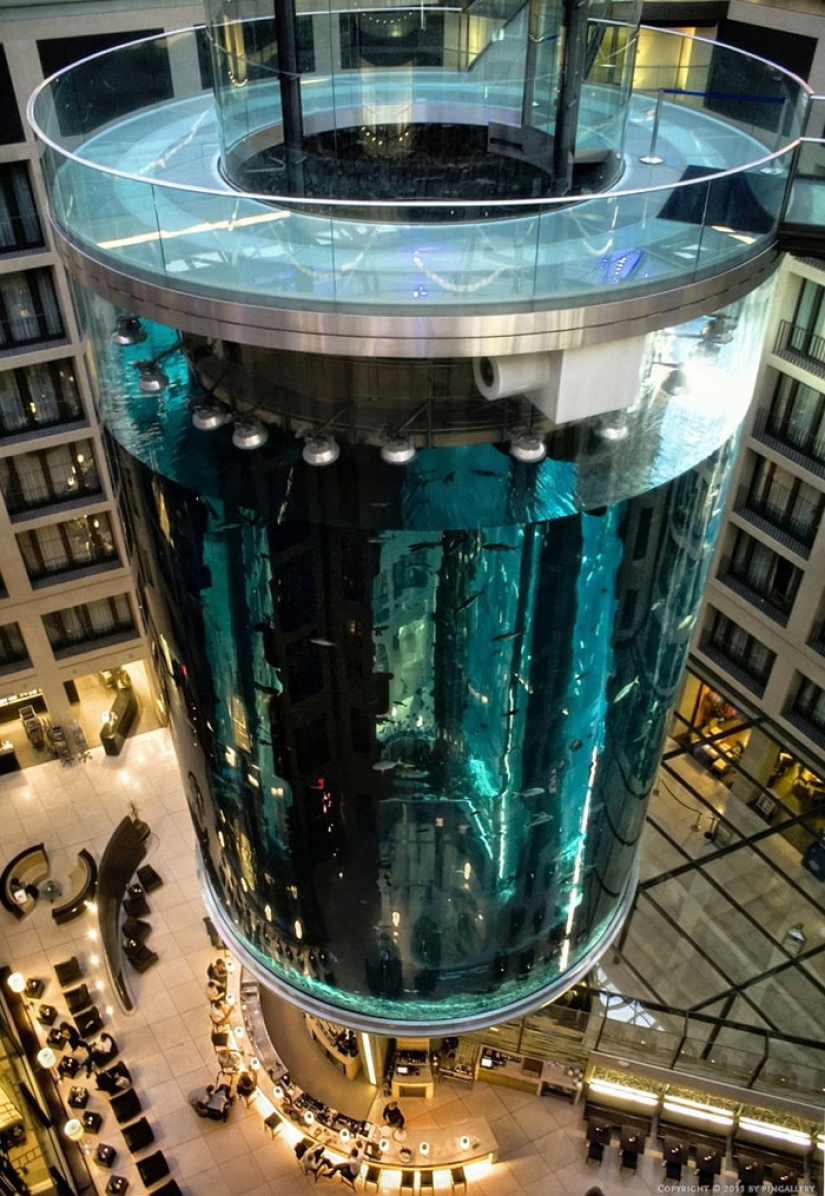 Dom Aquaree - un enorme acuario en el Hotel Radisson Blu de Berlín