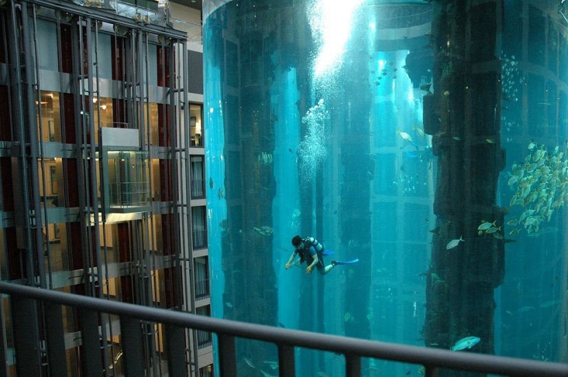 Dom Aquaree - un enorme acuario en el Hotel Radisson Blu de Berlín