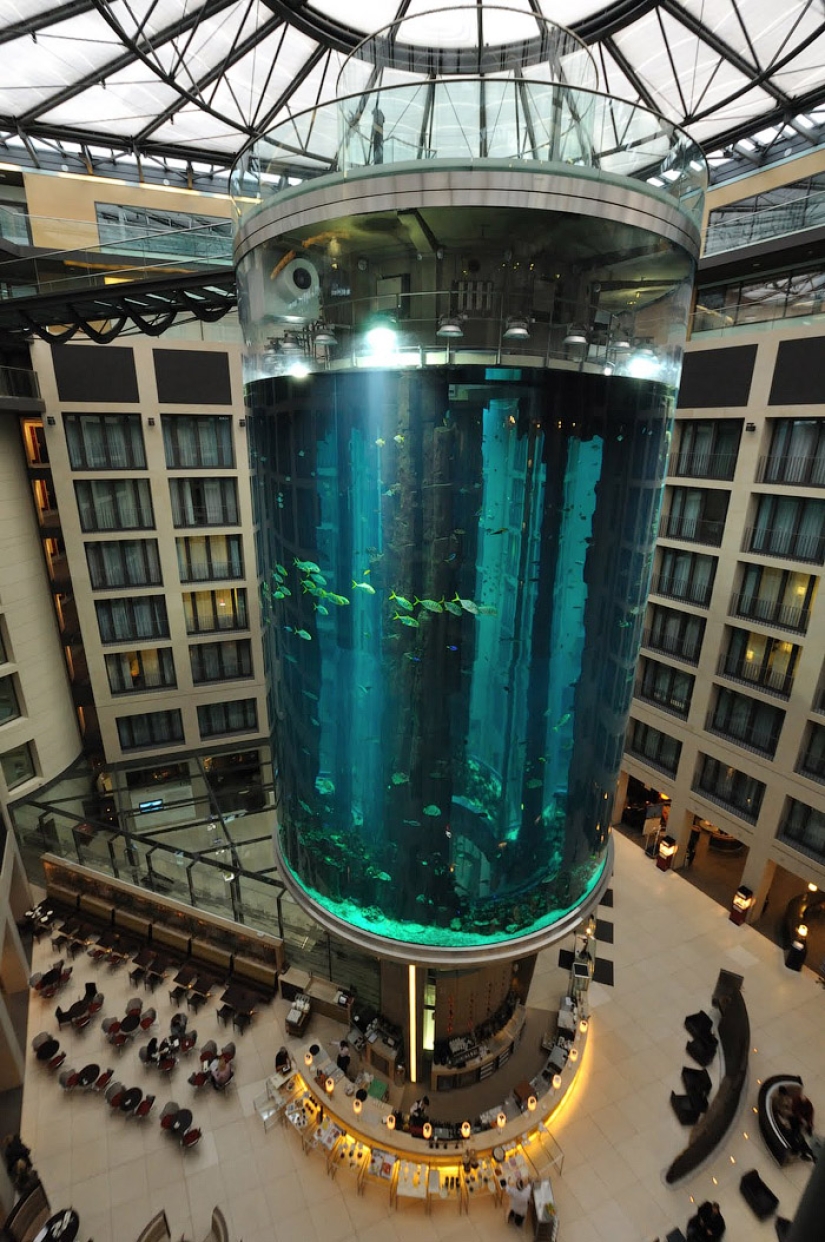 Dom Aquaree - un enorme acuario en el Hotel Radisson Blu de Berlín