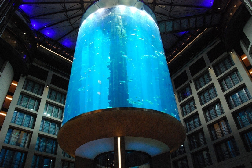 Dom Aquaree - un enorme acuario en el Hotel Radisson Blu de Berlín