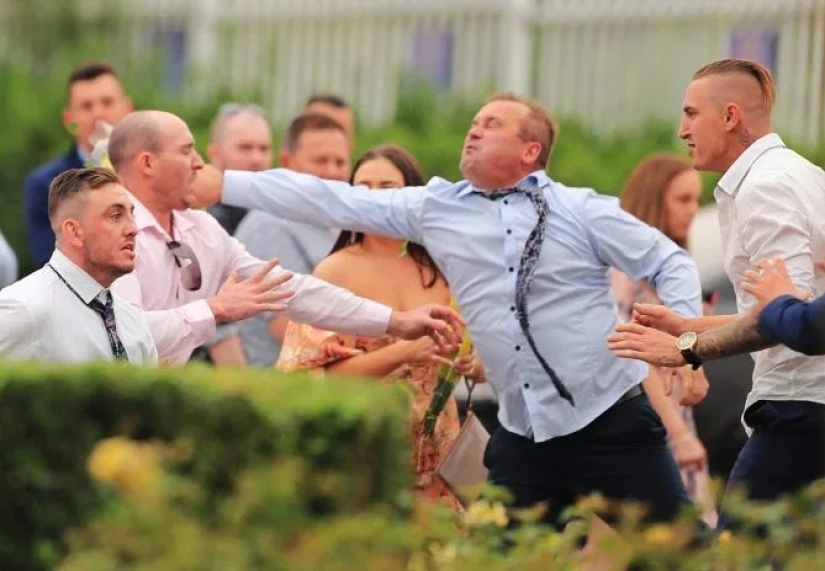 Don't wake the beast in her: a girl whipped a bully with a bouquet during a mass brawl at a horse race in Australia