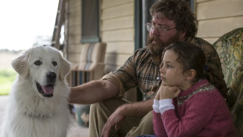Don't watch for the faint of heart: This website warns if a dog will die in the movie