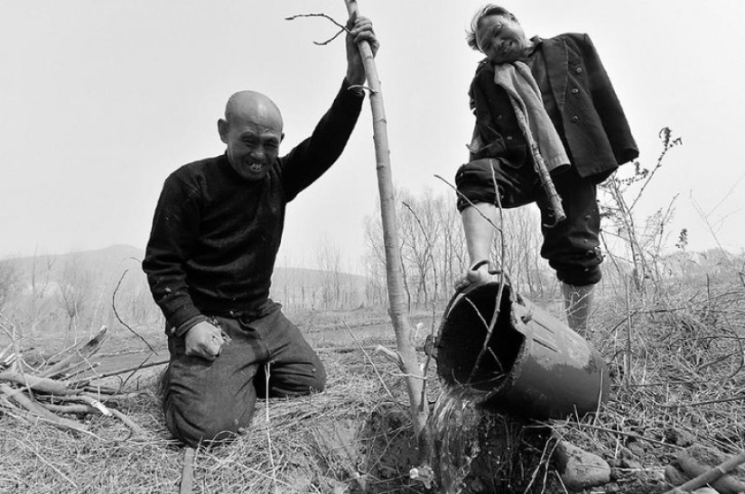 Dos chinos plantaron 10.000 árboles