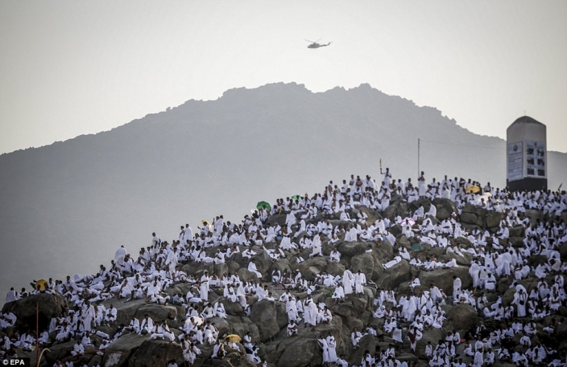 Dos millones de musulmanes se reunieron en el Monte Arafat para la culminación del Hajj