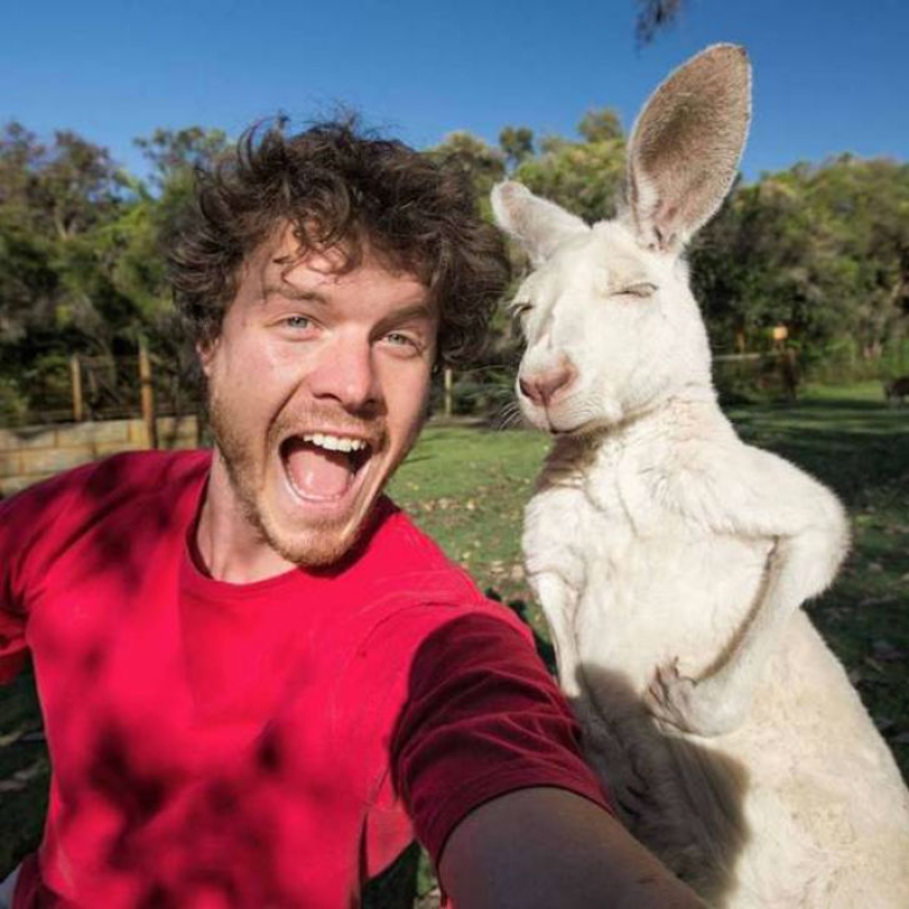 "Dr. Dolittle" dijo cómo tomar una selfie con animales