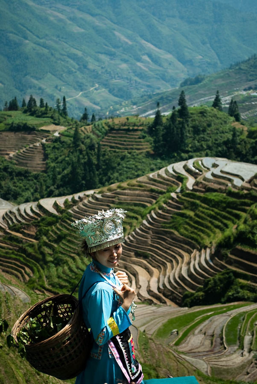 Dragon Ridge Rice Terraces