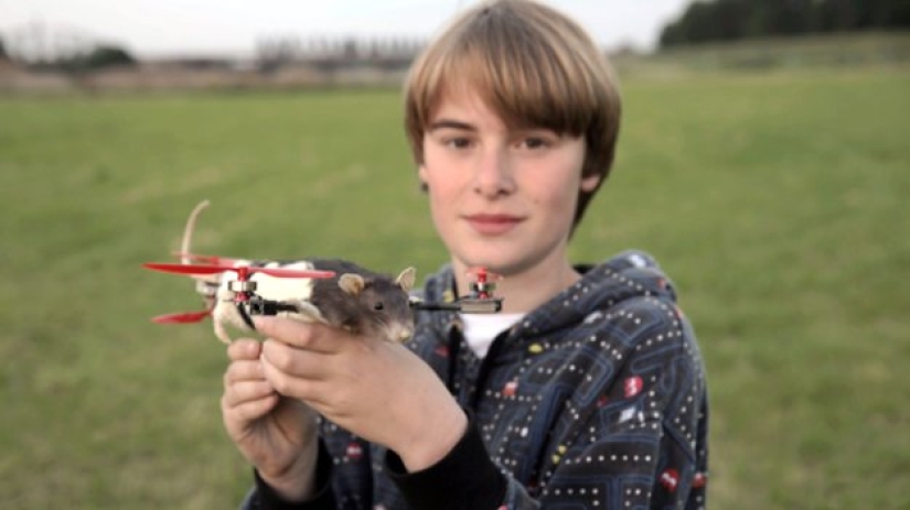 Drones de animales muertos — una extraña startup de los Países Bajos