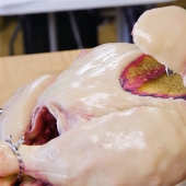 Dulce engaño: la pastelera Sarah Hardy horneó un pastel en forma de pavo crudo