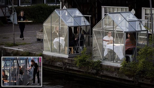 Dutch restaurant planted visitors to have dinner in greenhouses