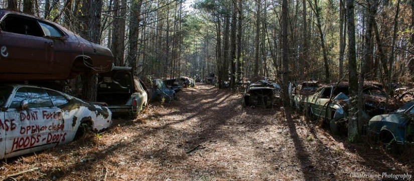 El cementerio de coches viejos más grande del mundo