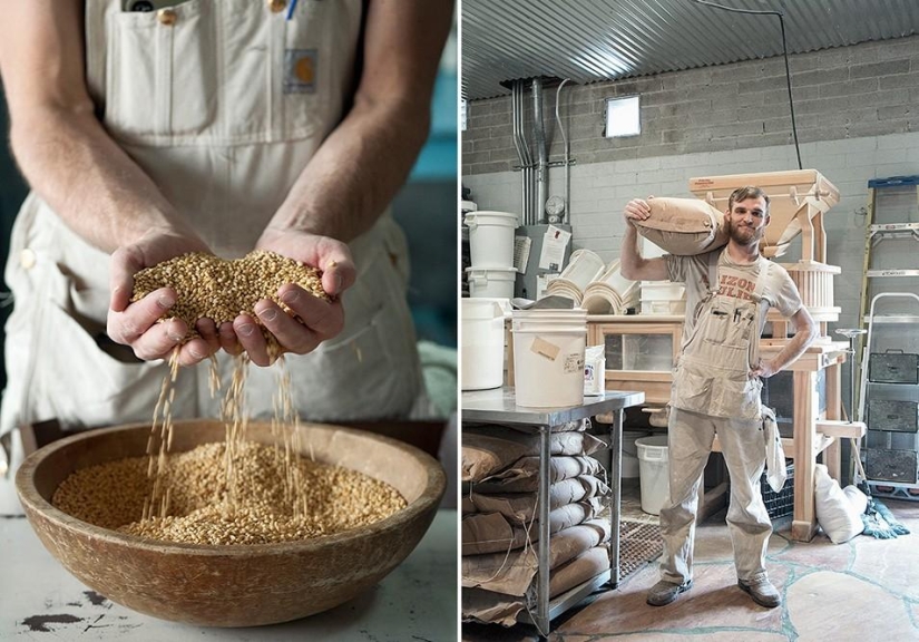 El cocinero y su trabajo