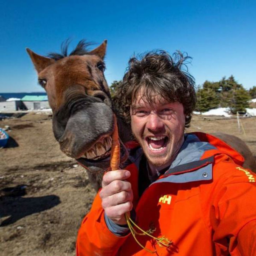 El "Dr. Dolittle" contó cómo tomarse una selfie con animales