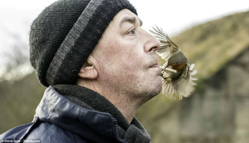 El Dr. Doolittle: cómo el Británico se convirtió en el maestro de las aves silvestres
