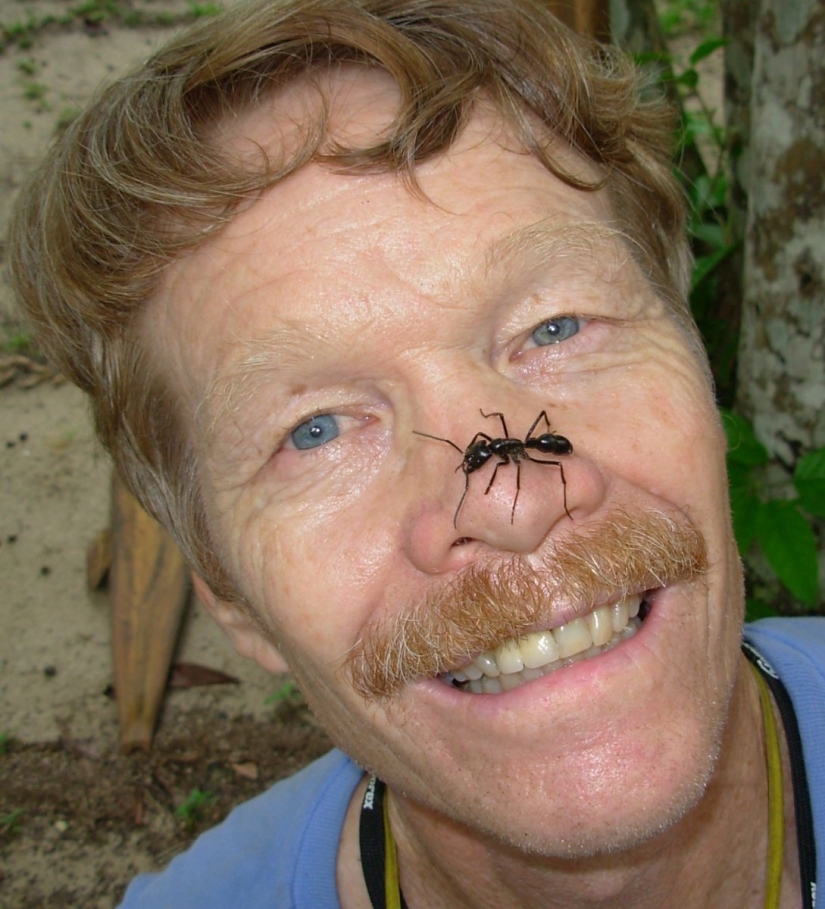 El entomólogo experimentó las picaduras de insectos más dolorosas y compiló una escala de dolor