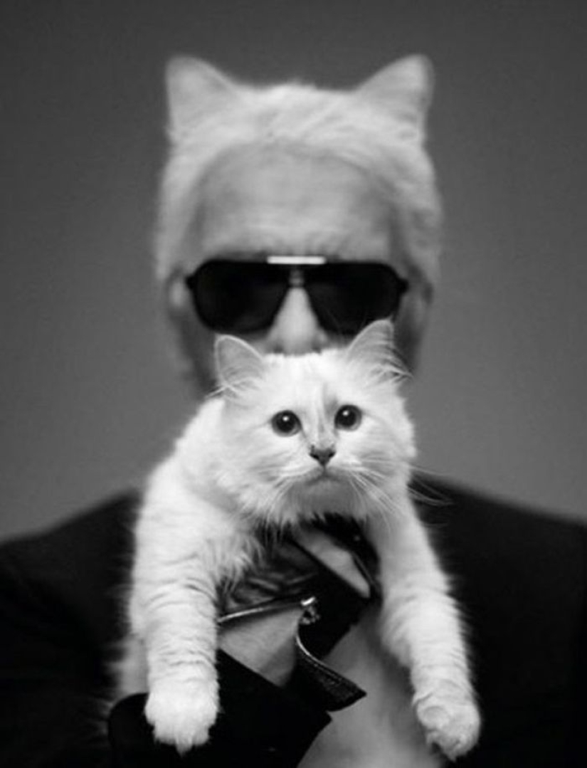 El gato de Karl Lagerfeld ganó 3 millones de euros en un año