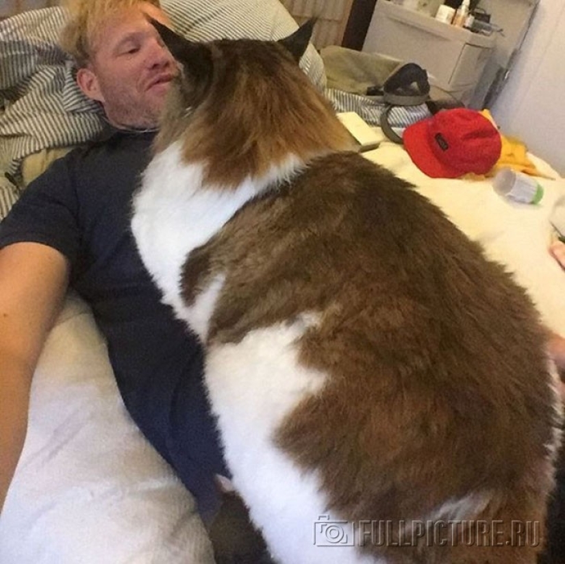 El gato más grande de Nueva York