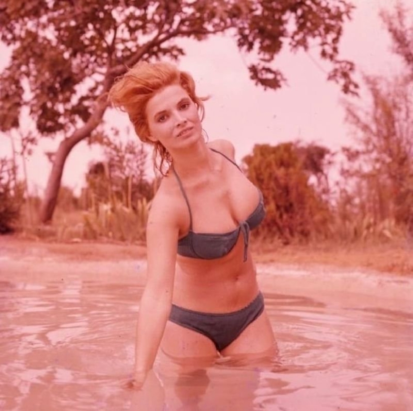 El italiano belleza Scilla Gabel — suplente Sophia Loren