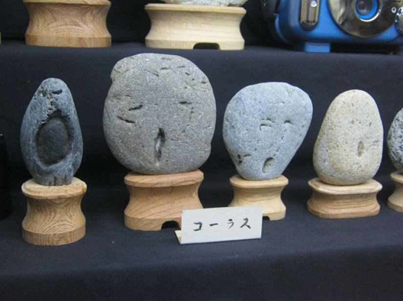 El Museo Tinsekikan de Japón colecciona piedras en forma de caras