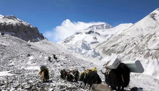 El pináculo de la tecnología: se instaló una torre 5G en el Everest con la ayuda de yaks