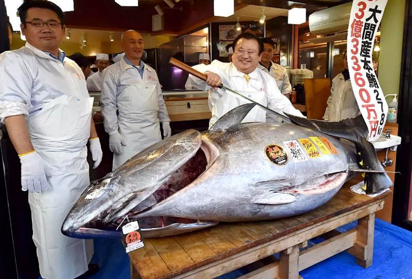 El raro atún rojo salió de la subasta por 3,1 millones de dólares