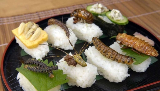 El sushi más exótico del mundo.