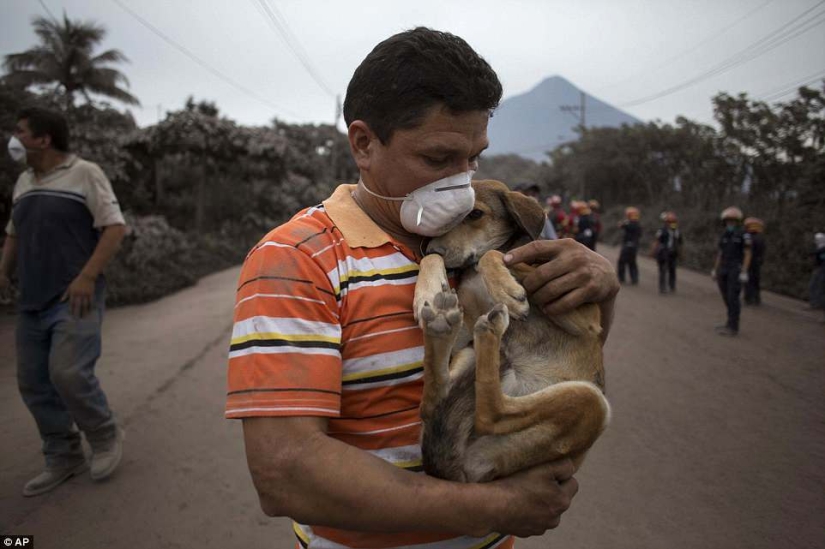 El volcán de Fuego en Guatemala mató a 69 personas en un día. El número de muertos está creciendo