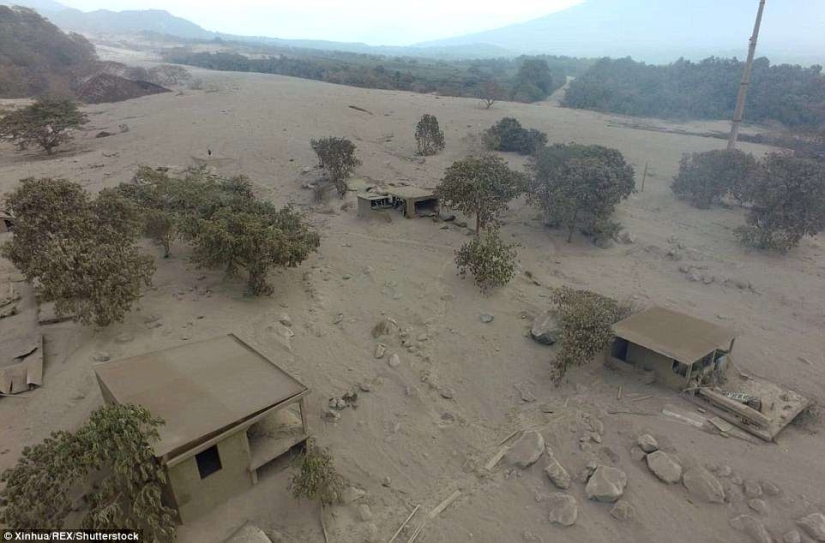 El volcán de Fuego en Guatemala mató a 69 personas en un día. El número de muertos está creciendo