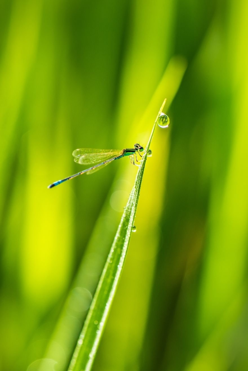 Elemento Agua: 30 mejores fotos del concurso #Water2019 que definitivamente deberías ver