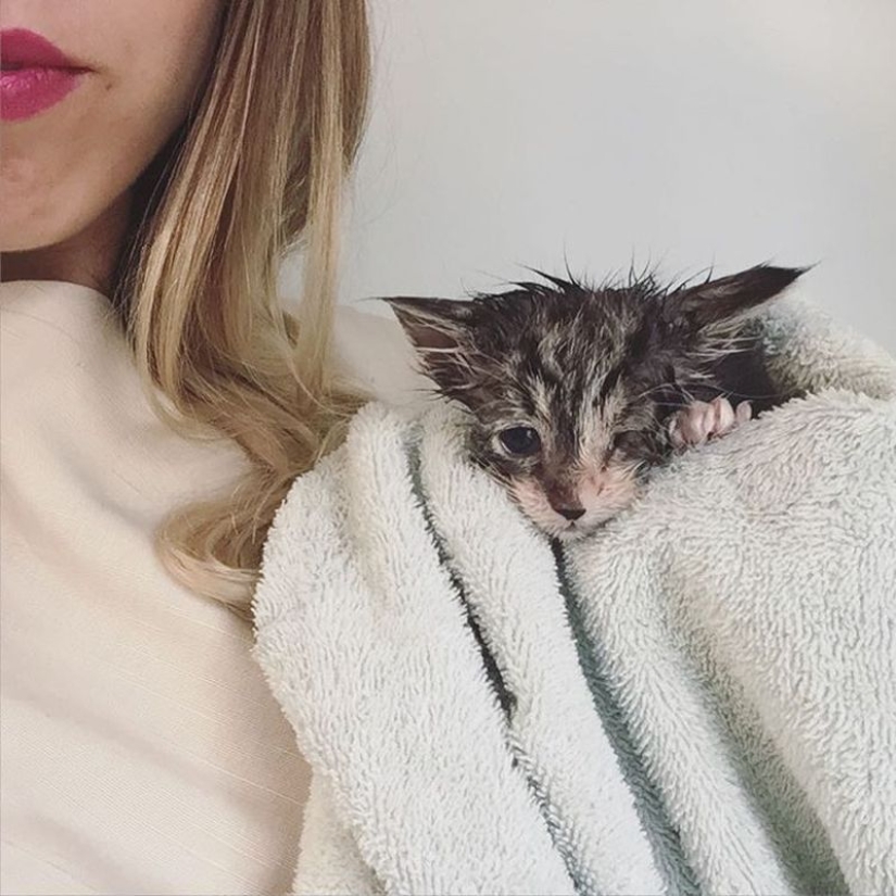Ella salva gatitos. El trabajo más lindo del mundo