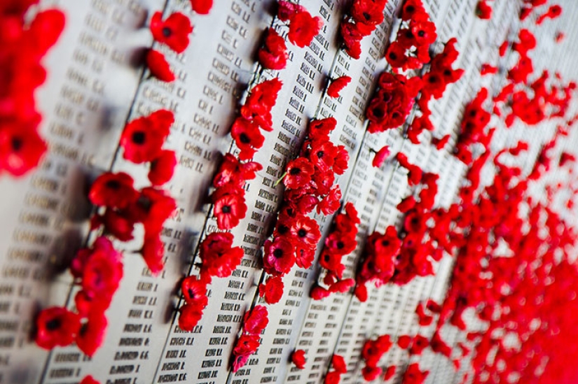 En Australia, un vándalo robó flores de la tumba de un soldado desconocido…