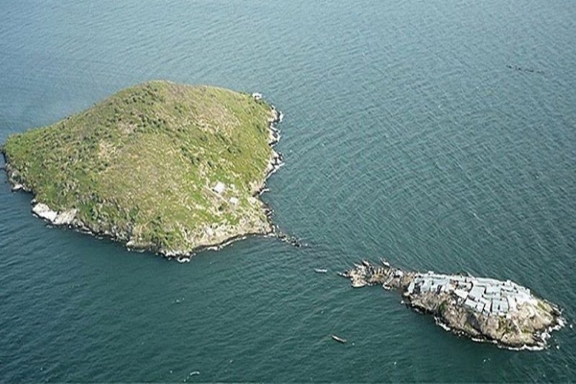 En condiciones de hacinamiento, pero no ofendido: ¡la isla más superpoblada del planeta!