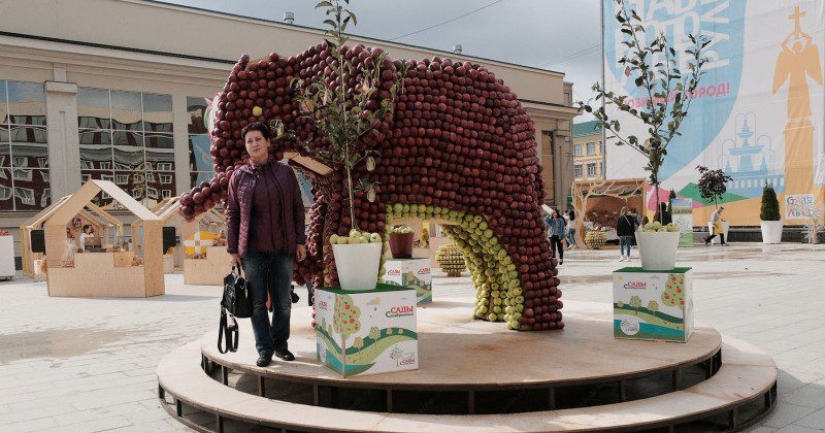 En el Día de la ciudad, los residentes de Stavropol se comió un elefante y royó la corona de un árbol