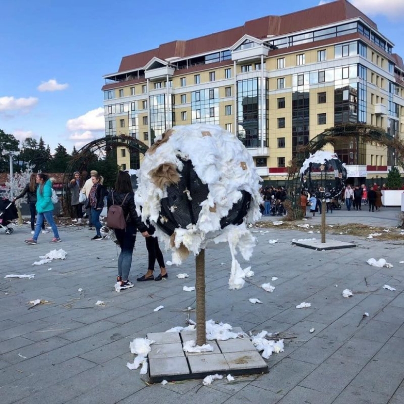 En el Día de la ciudad, los residentes de Stavropol se comió un elefante y royó la corona de un árbol