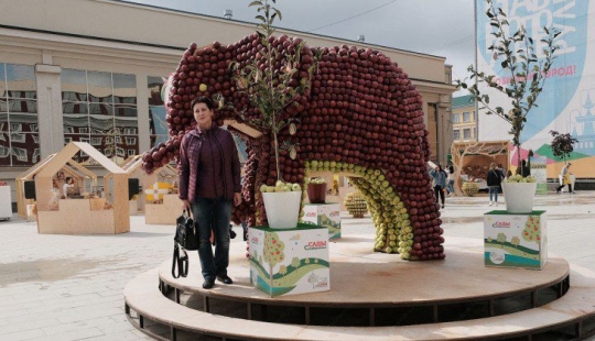 En el Día de la ciudad, los residentes de Stavropol se comió un elefante y royó la corona de un árbol