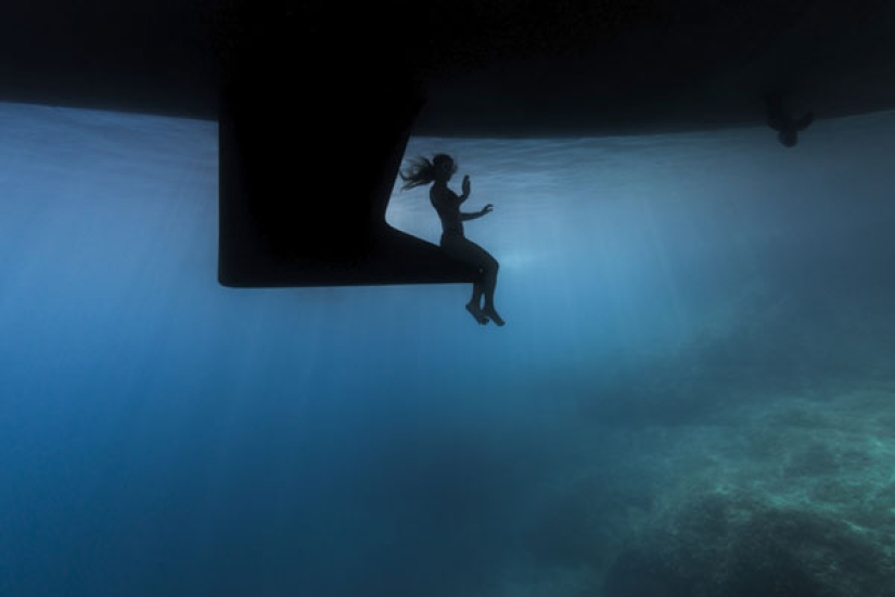 En el Dominio de Neptuno: el Reino Submarino en las fotos del concurso Fotógrafo Submarino del Año 2019