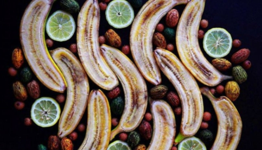 En la cara de la comida terrible y deliciosa: una mujer estadounidense elogia la comida "fea" en Instagram