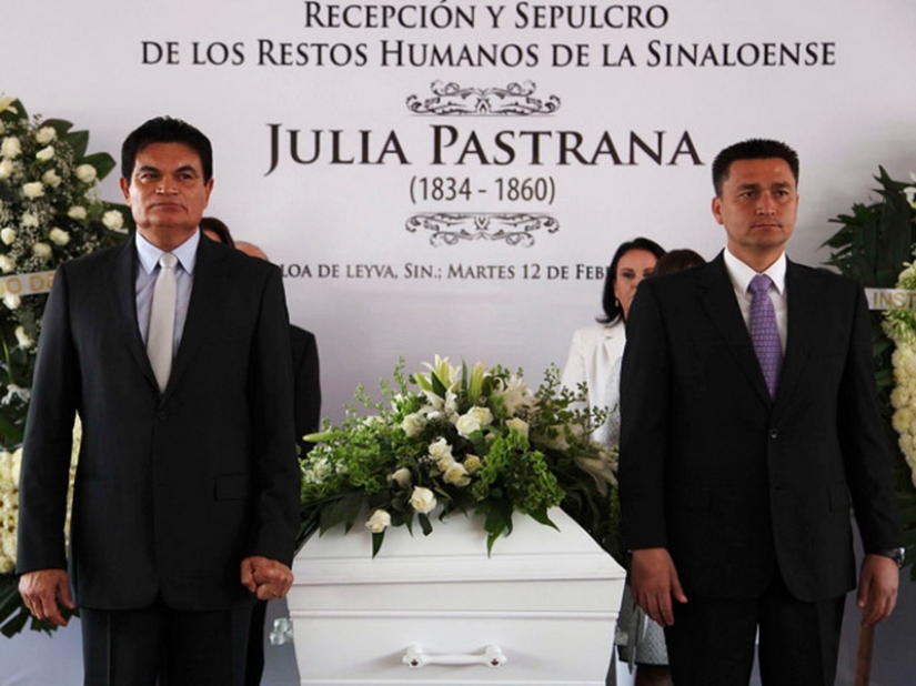 En la cara de un interior terrible y amable: la vida y muerte de una Julia barbuda, una monita de México